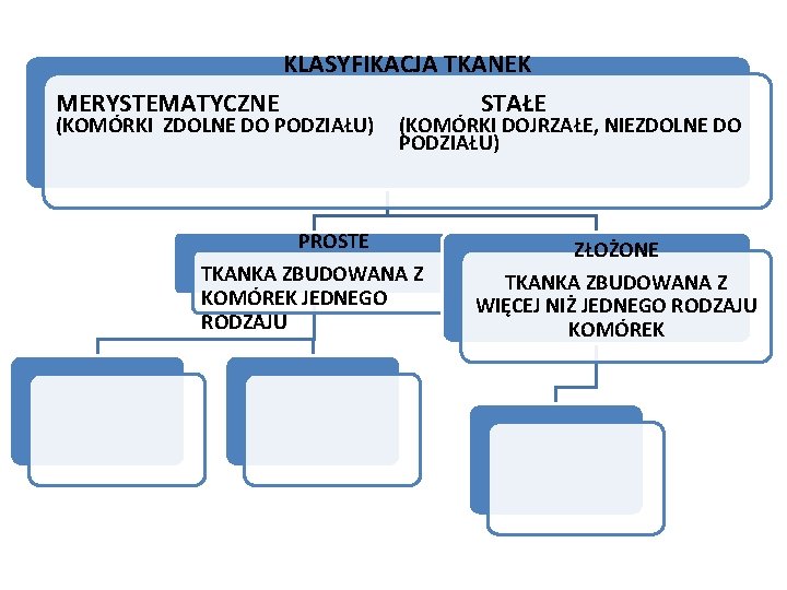 KLASYFIKACJA TKANEK MERYSTEMATYCZNE STAŁE (KOMÓRKI ZDOLNE DO PODZIAŁU) (KOMÓRKI DOJRZAŁE, NIEZDOLNE DO PODZIAŁU) PROSTE