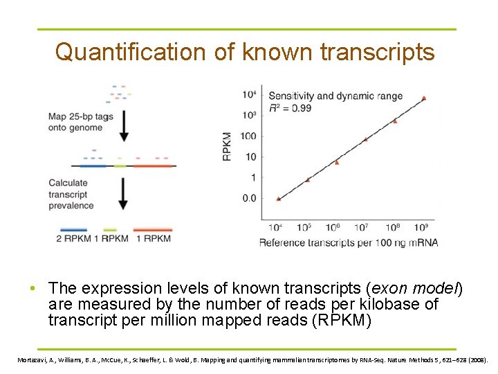 Quantification of known transcripts • The expression levels of known transcripts (exon model) are
