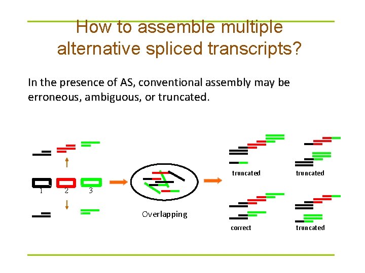 How to assemble multiple alternative spliced transcripts? In the presence of AS, conventional assembly