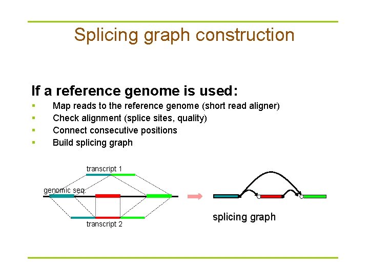 Splicing graph construction If a reference genome is used: § § Map reads to