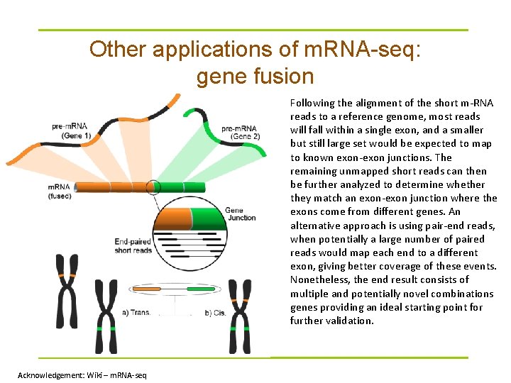 Other applications of m. RNA-seq: gene fusion Following the alignment of the short m-RNA