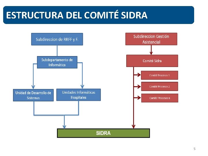 ESTRUCTURA DEL COMITÉ SIDRA 5 