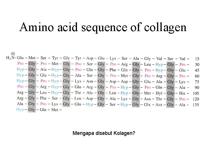 Amino acid sequence of collagen Mengapa disebut Kolagen? 