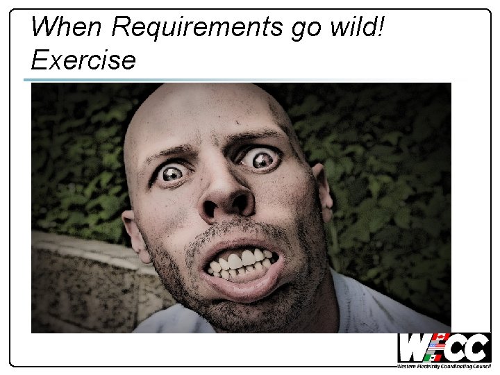 When Requirements go wild! Exercise 