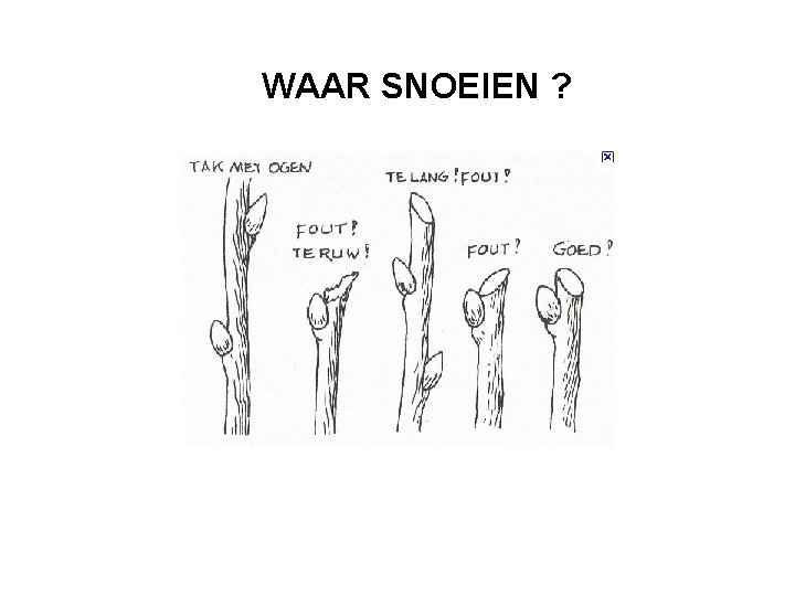 WAAR SNOEIEN ? 