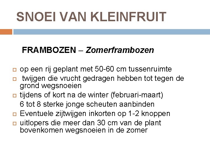 SNOEI VAN KLEINFRUIT FRAMBOZEN – Zomerframbozen op een rij geplant met 50 -60 cm