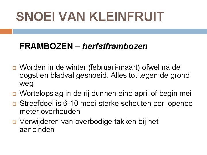 SNOEI VAN KLEINFRUIT FRAMBOZEN – herfstframbozen Worden in de winter (februari-maart) ofwel na de