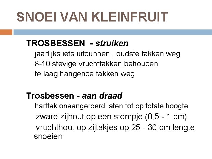 SNOEI VAN KLEINFRUIT TROSBESSEN - struiken jaarlijks iets uitdunnen, oudste takken weg 8 -10