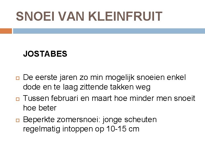 SNOEI VAN KLEINFRUIT JOSTABES De eerste jaren zo min mogelijk snoeien enkel dode en