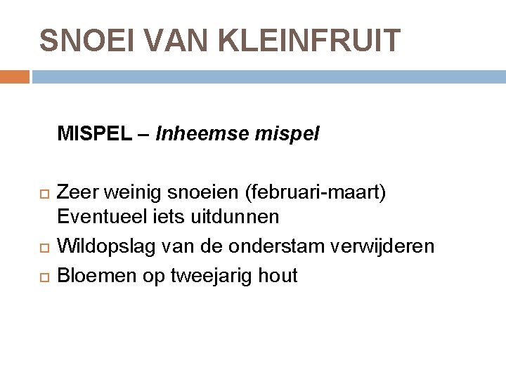 SNOEI VAN KLEINFRUIT MISPEL – Inheemse mispel Zeer weinig snoeien (februari-maart) Eventueel iets uitdunnen