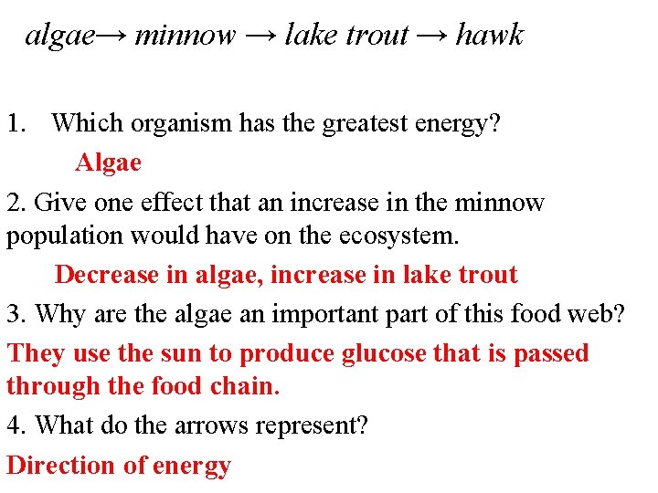 algae→ minnow → lake trout → hawk 1. Which organism has the greatest energy?