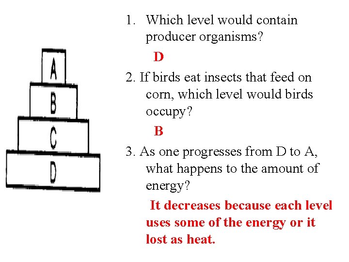 1. Which level would contain producer organisms? D 2. If birds eat insects that