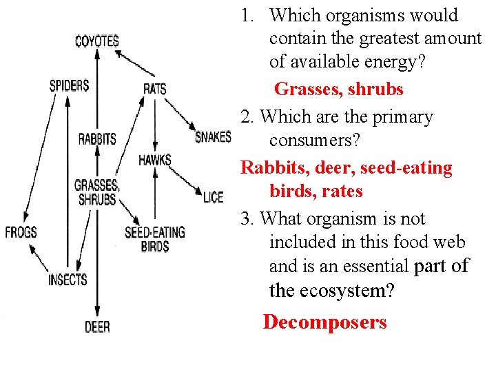 1. Which organisms would contain the greatest amount of available energy? Grasses, shrubs 2.