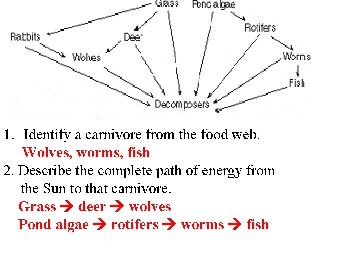 1. Identify a carnivore from the food web. Wolves, worms, fish 2. Describe the
