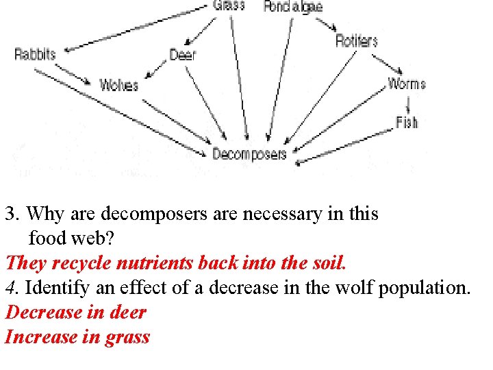 3. Why are decomposers are necessary in this food web? They recycle nutrients back
