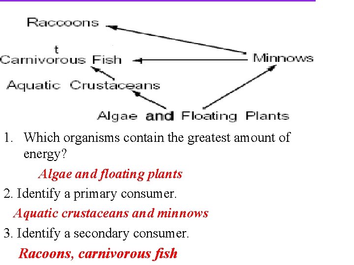 1. Which organisms contain the greatest amount of energy? Algae and floating plants 2.