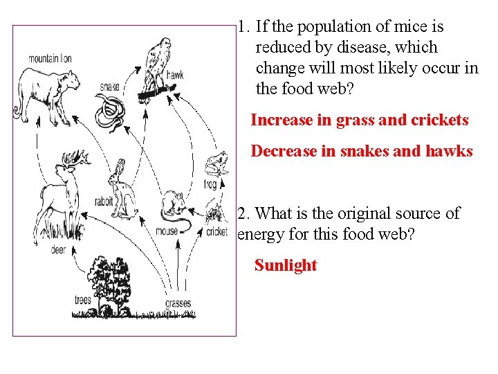 1. If the population of mice is reduced by disease, which change will most