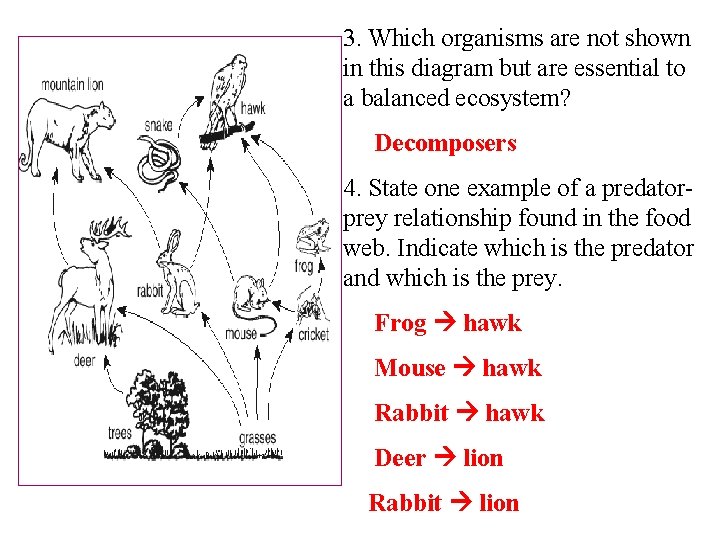 3. Which organisms are not shown in this diagram but are essential to a