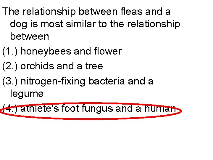The relationship between fleas and a dog is most similar to the relationship between