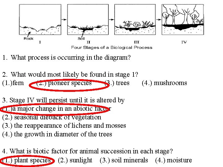 1. What process is occurring in the diagram? 2. What would most likely be