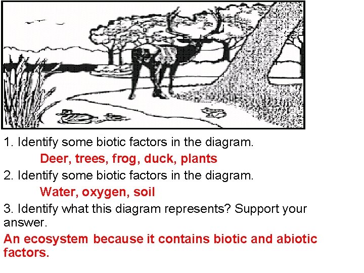 1. Identify some biotic factors in the diagram. Deer, trees, frog, duck, plants 2.