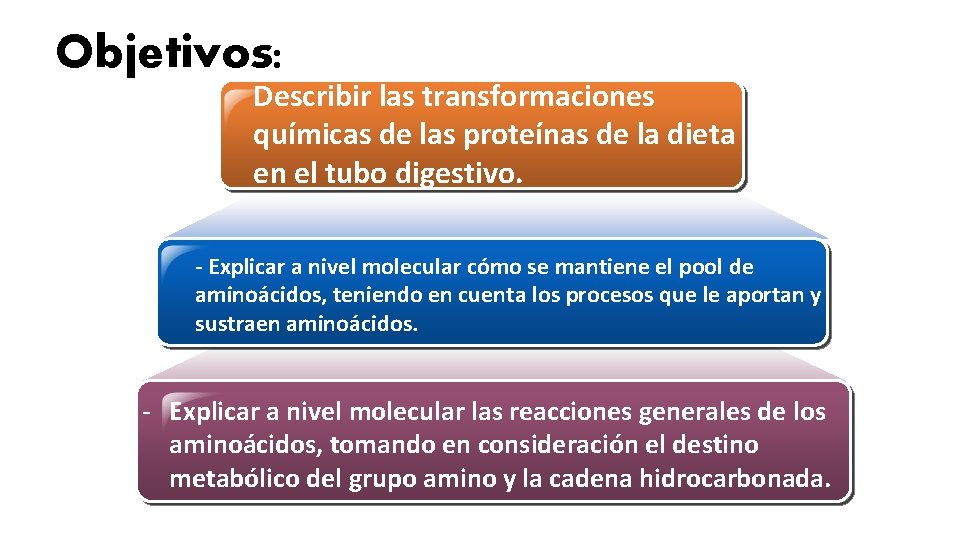 Objetivos: Describir las transformaciones químicas de las proteínas de la dieta en el tubo