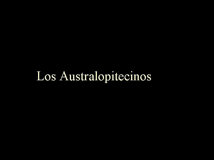 Los Australopitecinos 