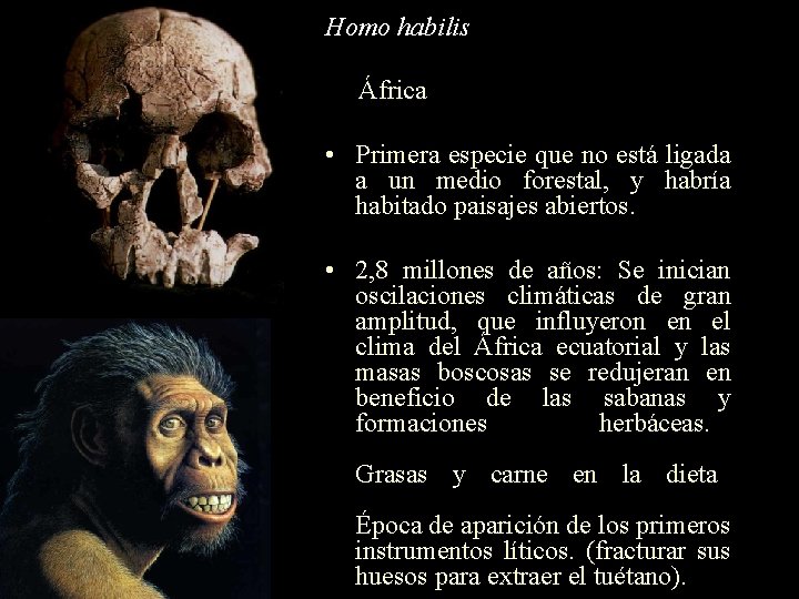 Homo habilis África • Primera especie que no está ligada a un medio forestal,