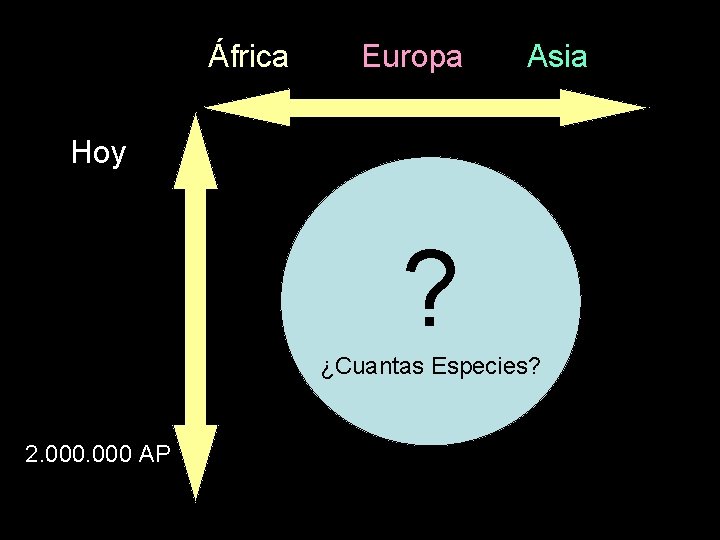 África Europa Asia Hoy ? ¿Cuantas Especies? 2. 000 AP 