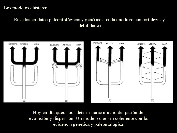 Los modelos clásicos: Basados en datos paleontológicos y genéticos cada uno tuvo sus fortalezas