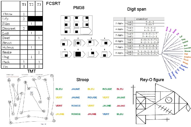 FCSRT PM 38 Digit span TMT Stroop Rey-O figure 