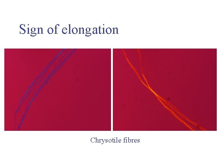 Sign of elongation Chrysotile fibres 