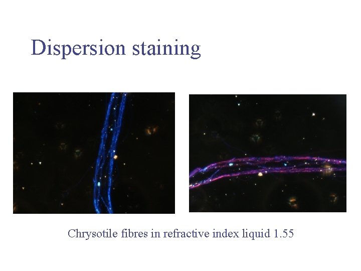 Dispersion staining Chrysotile fibres in refractive index liquid 1. 55 