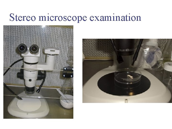 Stereo microscope examination 