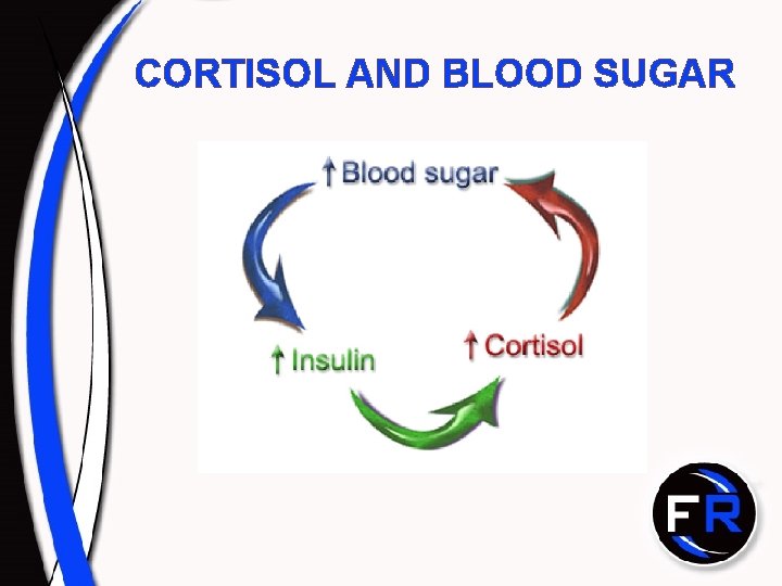 CORTISOL AND BLOOD SUGAR CORTISOL AND BLOOD SUGAR