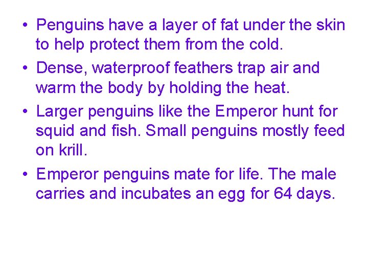  • Penguins have a layer of fat under the skin to help protect
