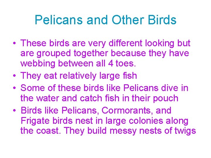 Pelicans and Other Birds • These birds are very different looking but are grouped
