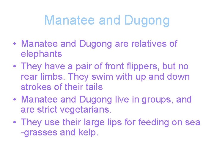 Manatee and Dugong • Manatee and Dugong are relatives of elephants • They have