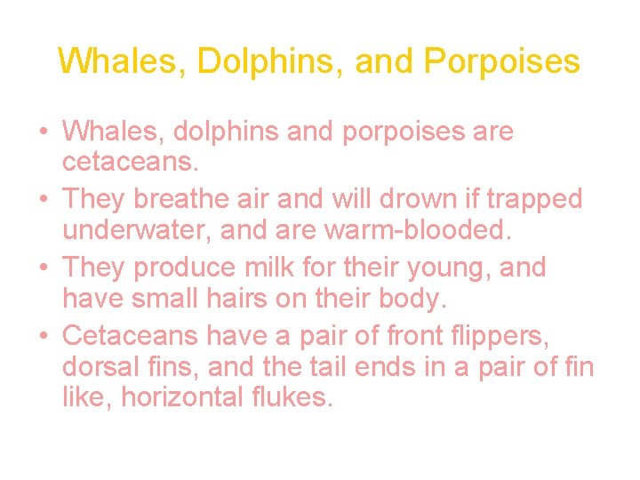 Whales, Dolphins, and Porpoises • Whales, dolphins and porpoises are cetaceans. • They breathe