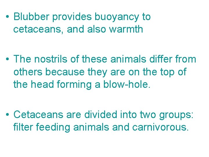 • Blubber provides buoyancy to cetaceans, and also warmth • The nostrils of