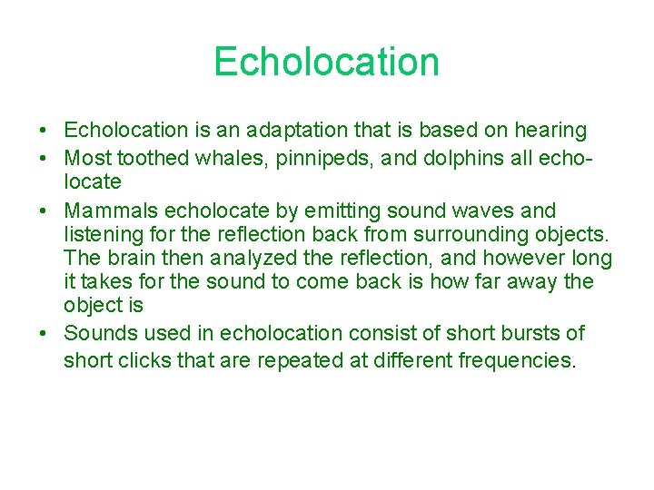 Echolocation • Echolocation is an adaptation that is based on hearing • Most toothed