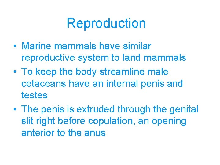 Reproduction • Marine mammals have similar reproductive system to land mammals • To keep