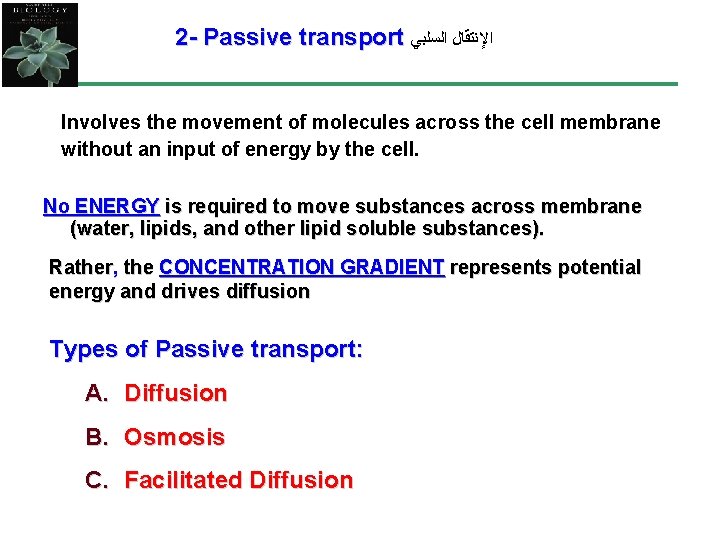 2 - Passive transport ﺍﻹﻧﺘﻘﺎﻝ ﺍﻟﺴﻠﺒﻲ Involves the movement of molecules across the cell