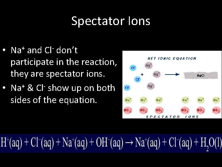 Spectator Ions • Na+ and Cl- don’t participate in the reaction, they are spectator