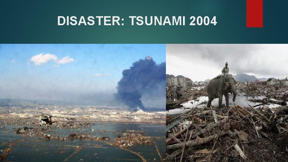 DISASTER: TSUNAMI 2004 