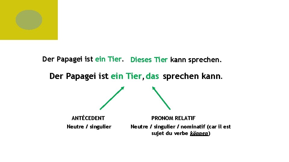 Der Papagei ist ein Tier. Dieses Tier kann sprechen. Der Papagei ist ein Tier,