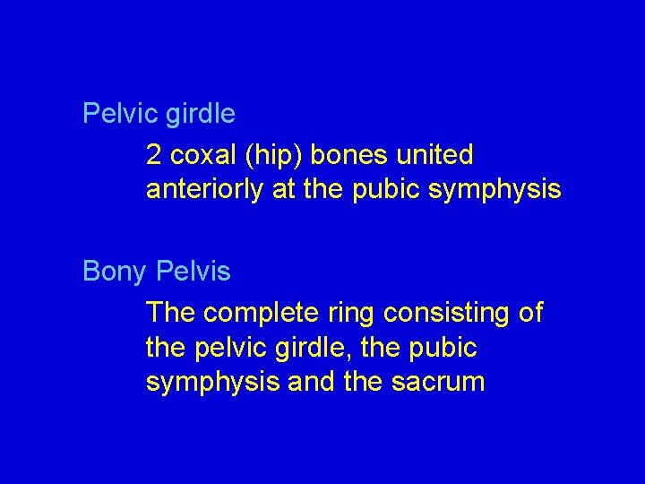 Pelvic girdle 2 coxal (hip) bones united anteriorly at the pubic symphysis Bony Pelvis