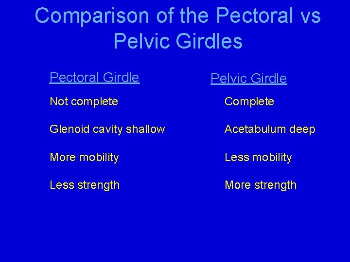 Comparison of the Pectoral vs Pelvic Girdles Pectoral Girdle Pelvic Girdle Not complete Complete