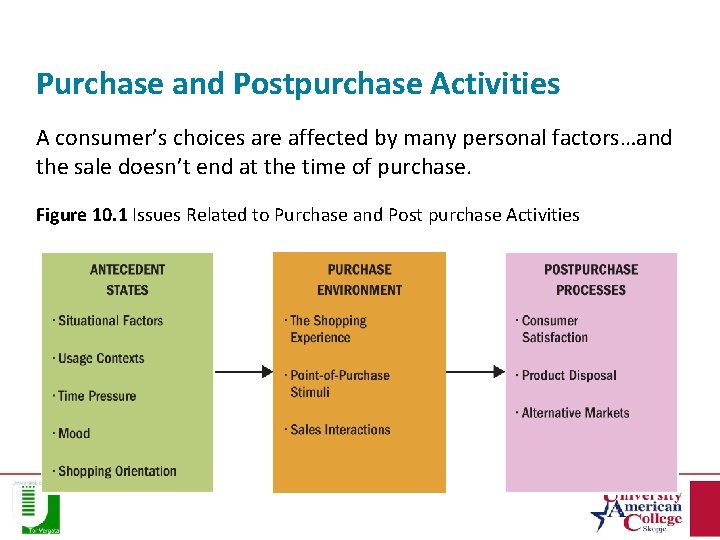 Purchase and Postpurchase Activities A consumer’s choices are affected by many personal factors…and the