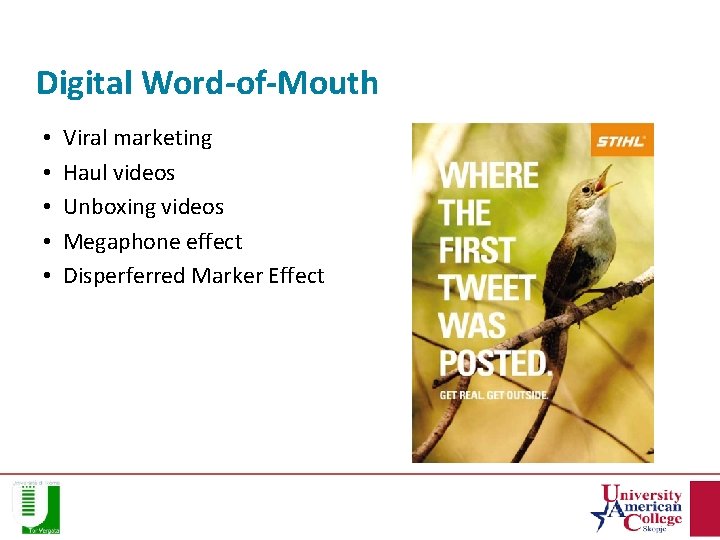 Digital Word-of-Mouth • • • Viral marketing Haul videos Unboxing videos Megaphone effect Disperferred